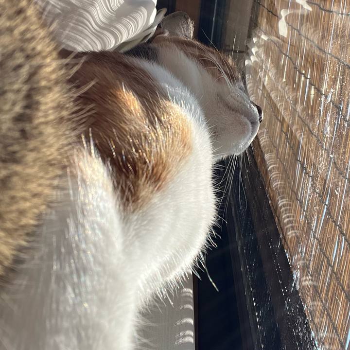 6e4981b2 7675 458b 9881 72c61edca322 1775178132997