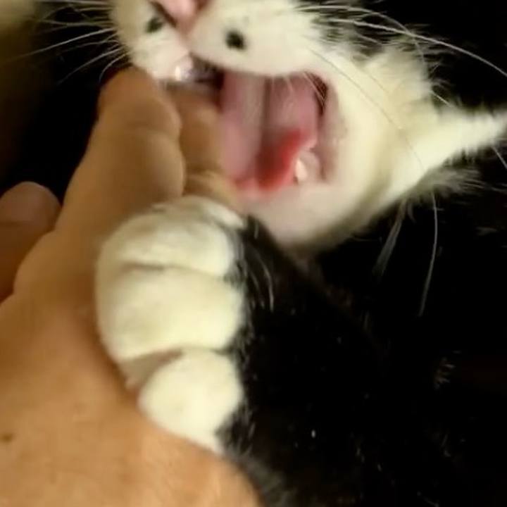 6e4990ce 4ff4 4cfe 8fdb 3c153fb83054 1734751571874