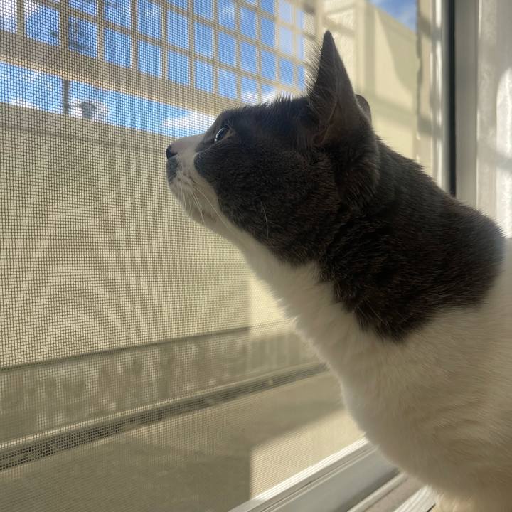 6e499322 8da3 43db aab4 070053bcda12 1733274368662