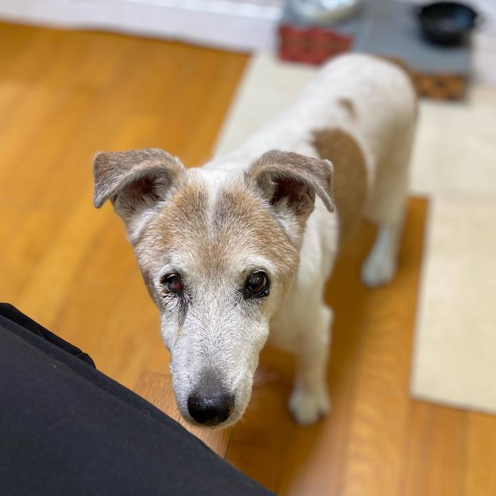 6e49d59b 2acb 4a04 a209 577cfc28143a 1719354215700