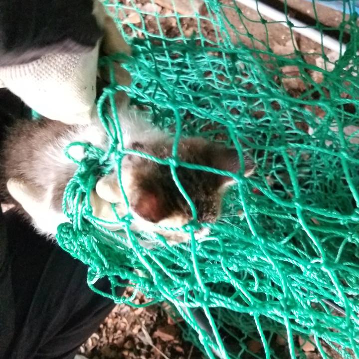 6e49ddaf 3419 4168 9613 2ecfc2bce662 1569219306116