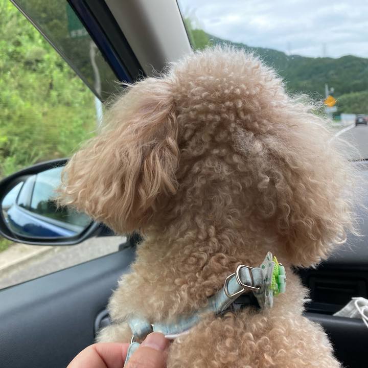 6e49e0b0 3571 48a0 a6b2 9de0e0d588ec 1630918669845