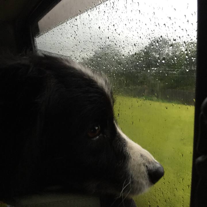 6e4a387d 98c4 4e48 bb45 968bbe438ff6 1538259684728