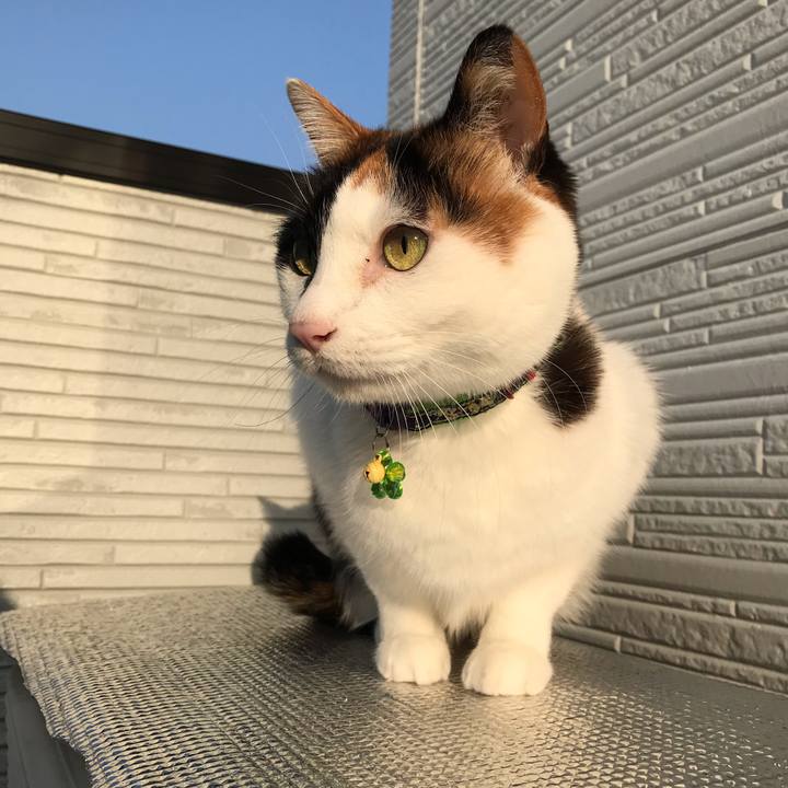 6e4a6dac 389a 4e23 b0ce 69e82156125d 1551741096518