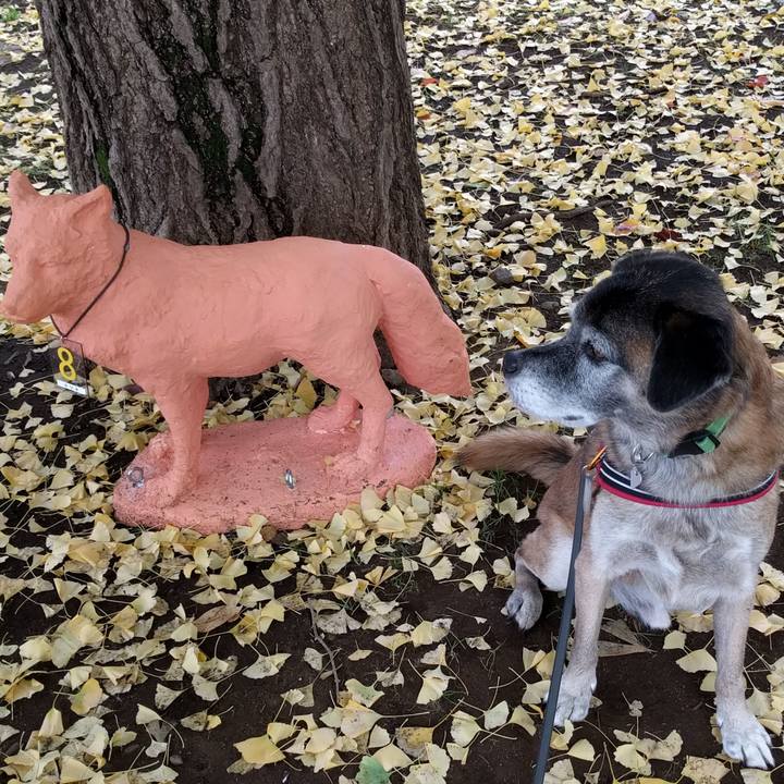 6e4a7948 e758 4456 955e 5b7be4043306 1510706028835