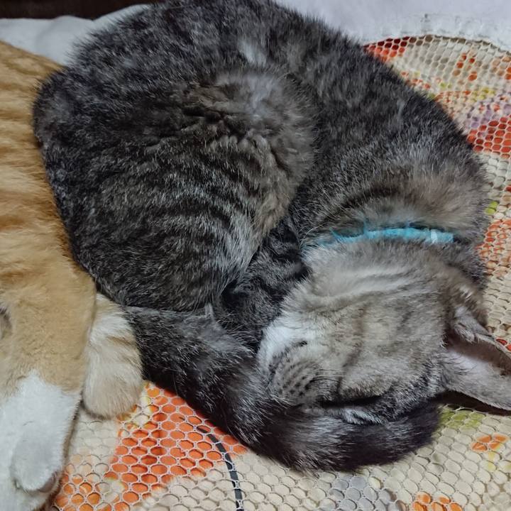 6e4a83f4 a57f 49dd 90af b39c924e5cd6 1571403071327