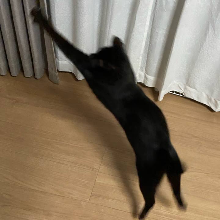 6e4a8c4f 5fc3 4cd2 a21f 1be8855b248c 1653742454019