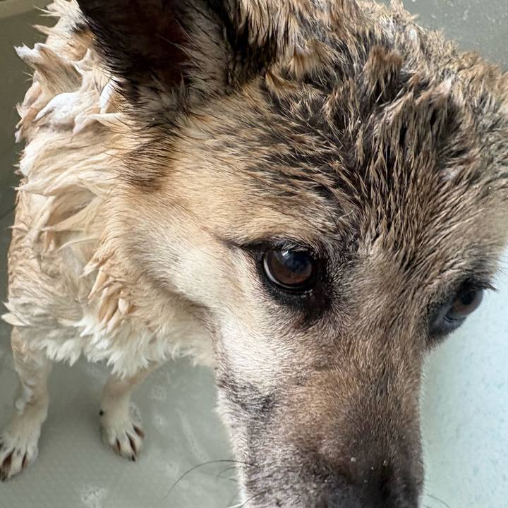 6e4a94f7 2f12 4f95 b3c5 e80c19304414 1745057444611