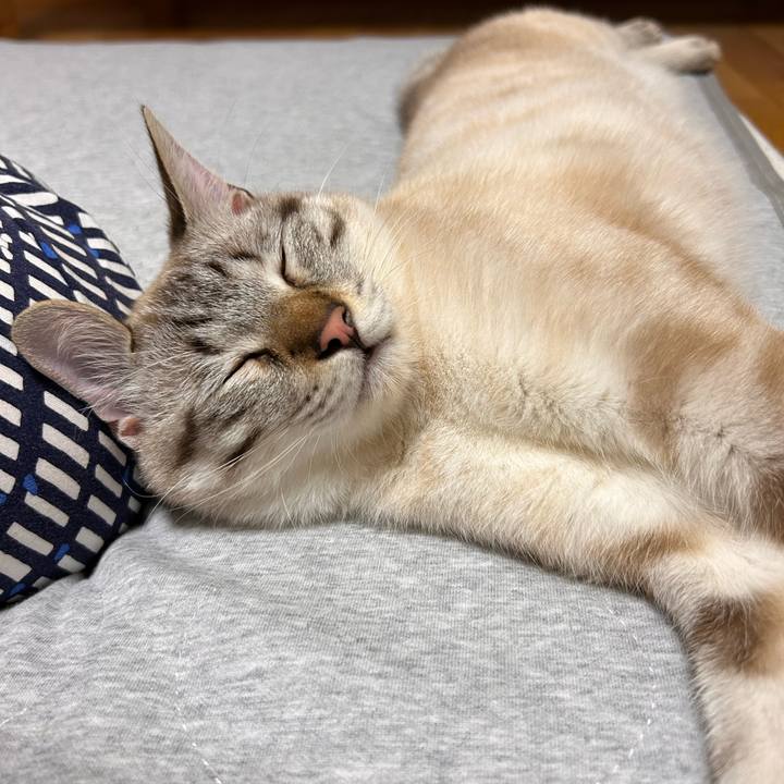 6e4ac700 3880 4945 9642 8fea6e7becf6 1750689527144