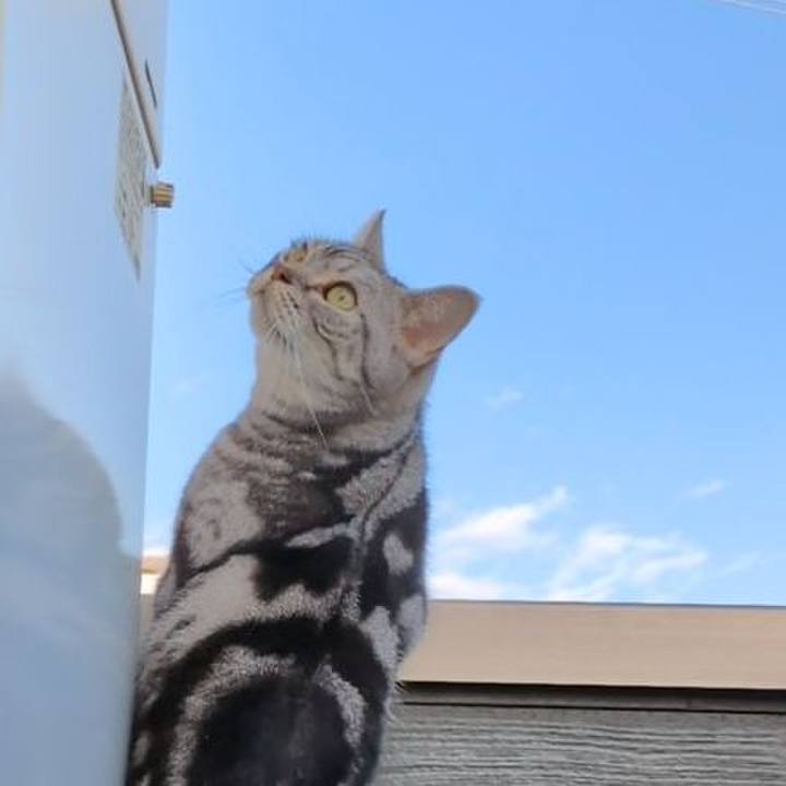 6e4ae854 e6ad 489c a272 7a2d09b5618b 1734437669836