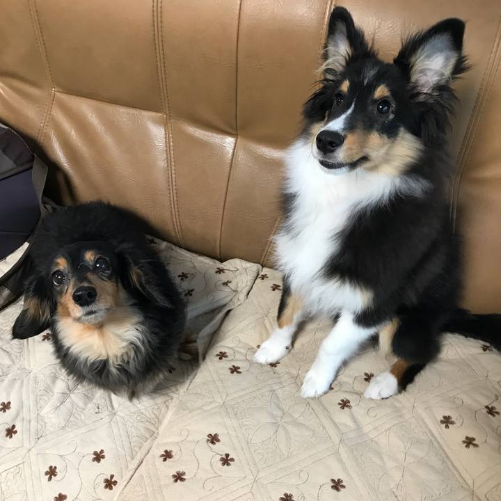 6e4aec5c 1b27 43b1 a04b f5e65b2b2427 1516053998557