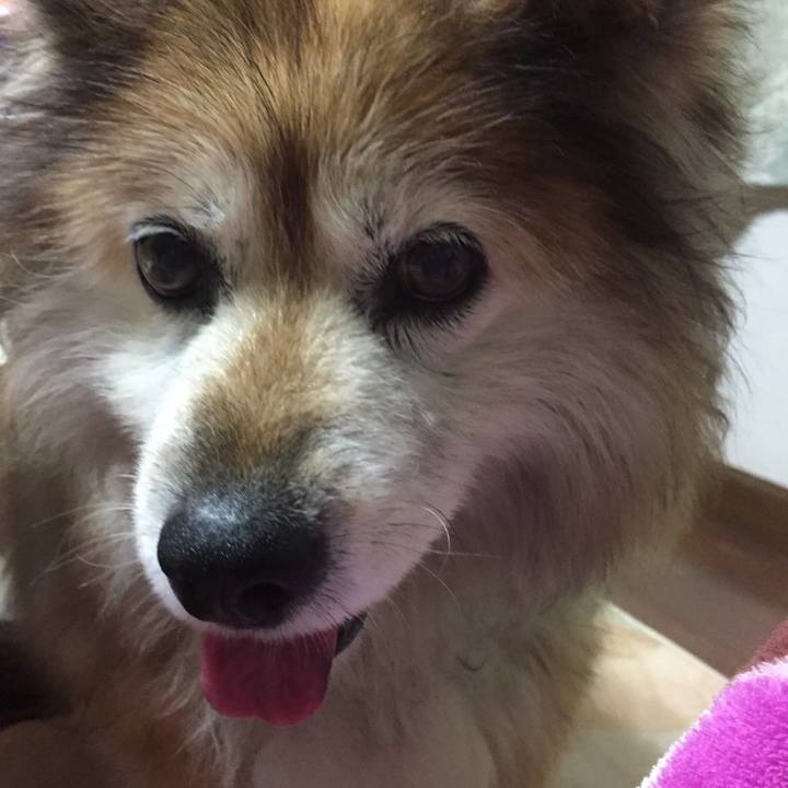 6e4b1855 6015 466c 8793 d4d67f66b53c 1586343772022