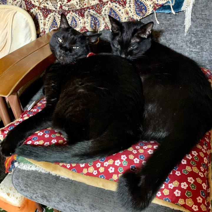 6e4b1e35 df20 41eb a7cf d131daacadf2 1605947042431