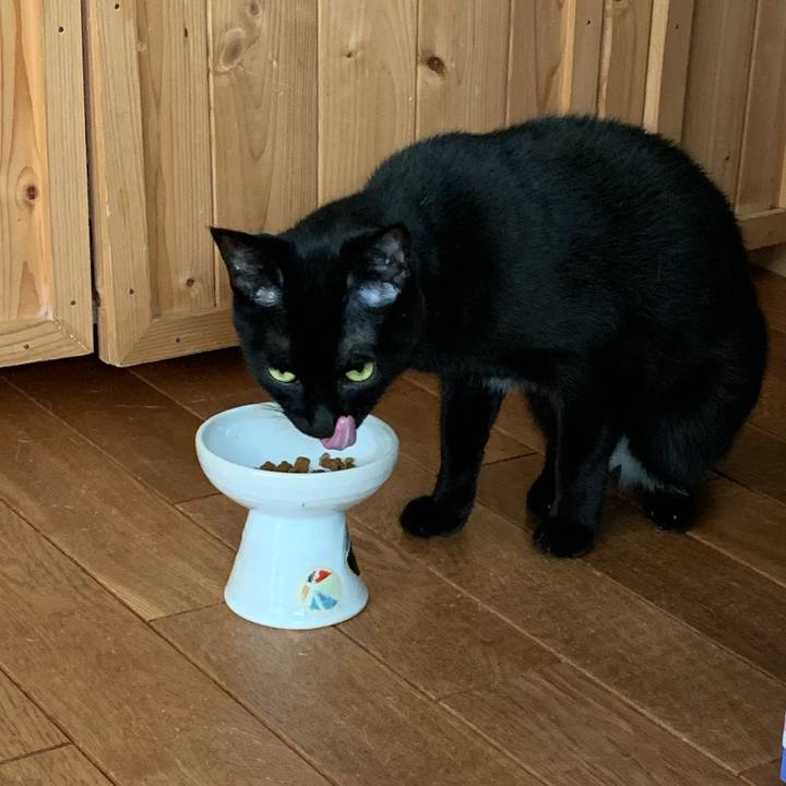 6e4b26e1 a4e8 4d64 8f72 eef5285ae079 1610771360139