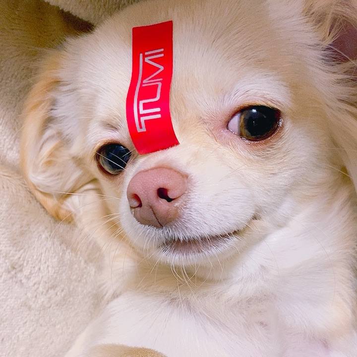 6e4b33f9 e2e3 44d4 b148 fba25d49aabc 1609641191774