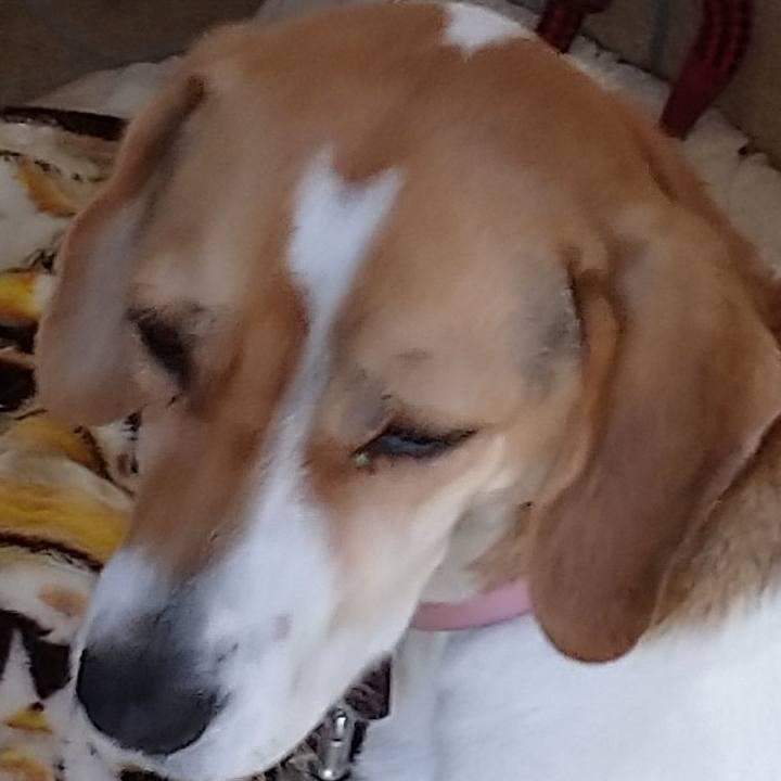 6e4b5289 2575 44fd 908e 70b334b8a997 1577427387279