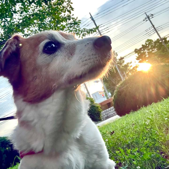 6e4b5a36 8980 418d b167 e3a46f7994e4 1720871165978