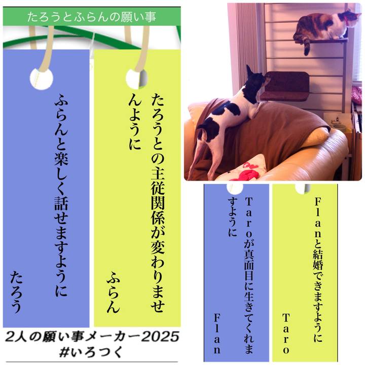 6e4b6819 1e43 4827 9b4c 5bde98b6c621 1751890289409