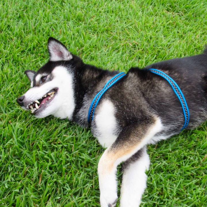 6e4b7137 2110 45f9 ac21 2003148f4259 1568157379487