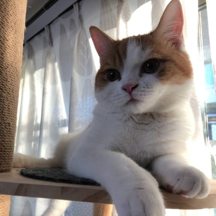 6e4b96f6 2aa0 4292 b7bc 85fefeedc0cd 1577574530840