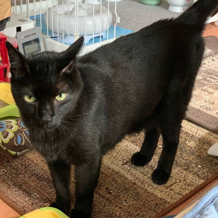 6e4b9dc5 d326 4a1c b038 95ea72742ba0 1595033705107