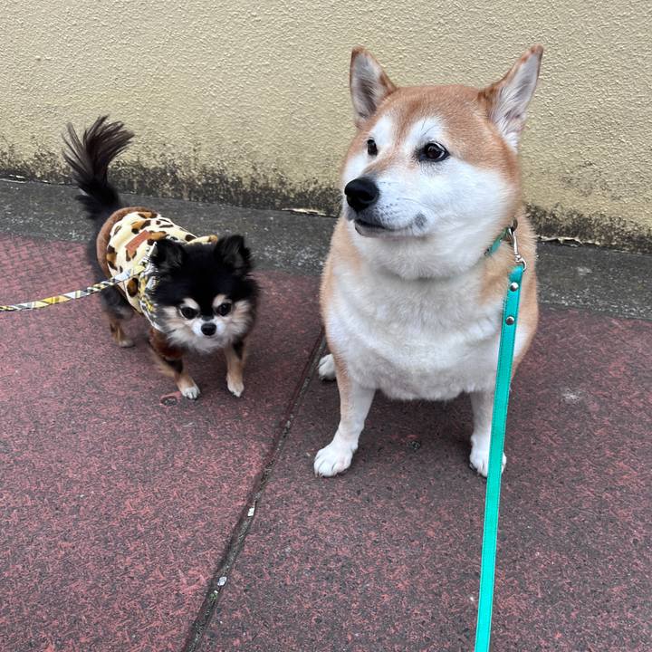 6e4bbe7e bd6b 4f81 a7ee 0209cbc48197 1702976102534