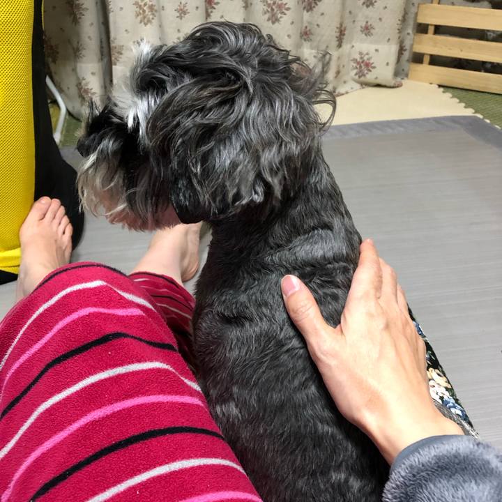 6e4bbf15 db90 4f7d ae09 e46badbe5c7b 1576073794697