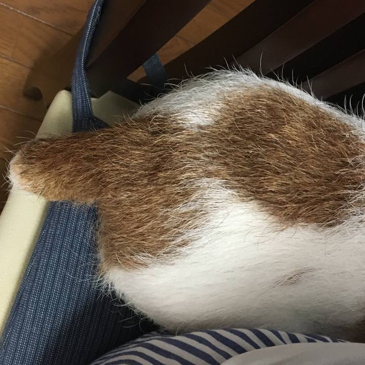 6e4bcb18 b060 42f0 94b0 d76e30994e57 1566963316003