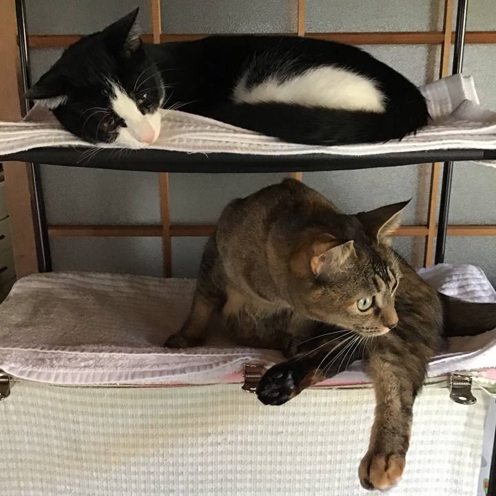 6e4c2683 68ee 4e07 a7d2 c7b3d4071a56 1635490512945