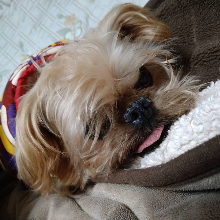 6e4c2797 e3da 4c43 8dd1 5b7f6a8338dd 1608157013431