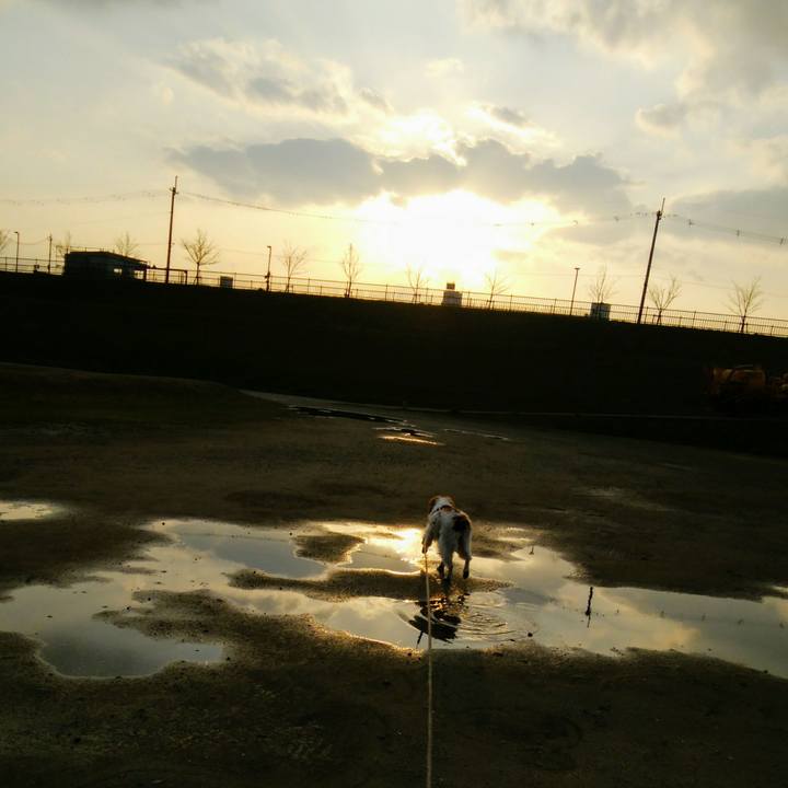 6e4c39de 57ad 42a1 9ad4 1318492f76eb 1551440056529