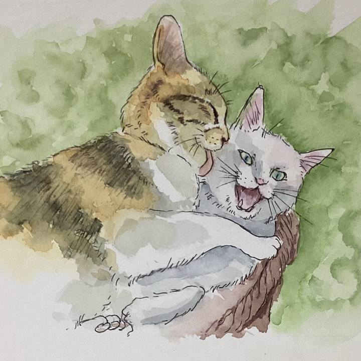 6e4c61df 24c8 4582 9e72 f10369e1aa93 1689251430826