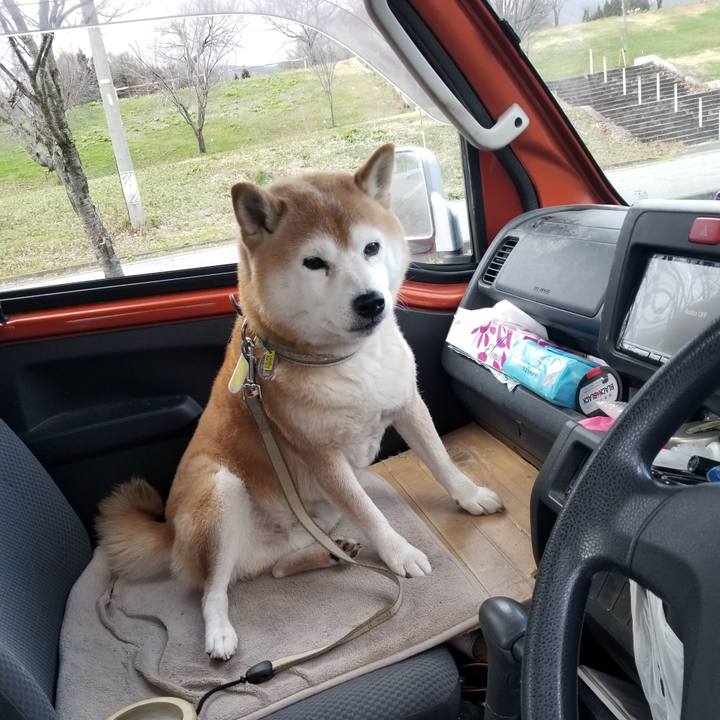 6e4c6fe6 0ade 437e 983c 9ce6cd8699a8 1669787572102