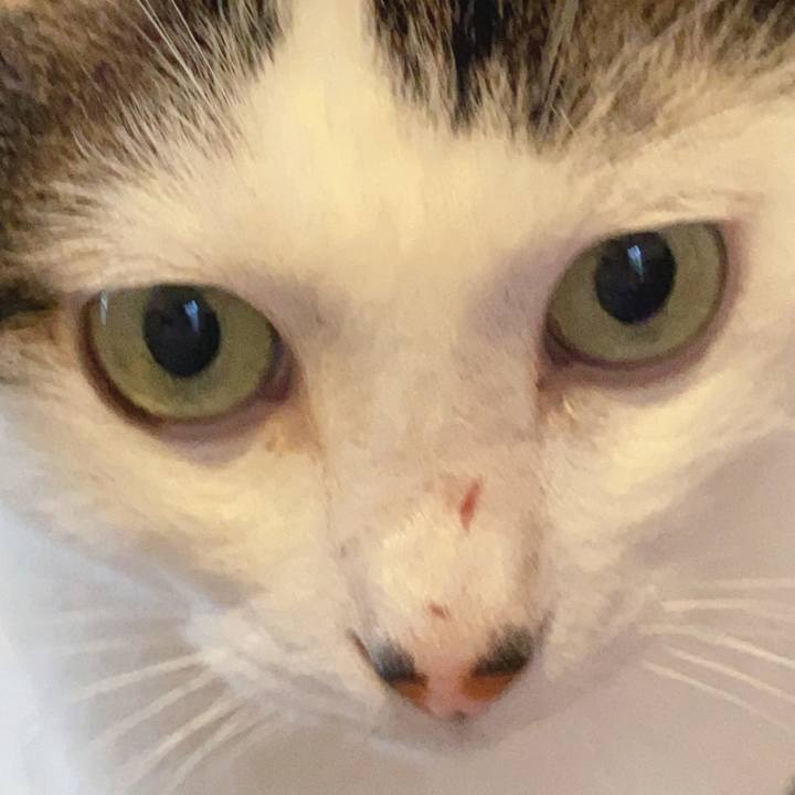 6e4cc2c6 fcde 4736 b1a1 1270745ba4f3 1632565312910