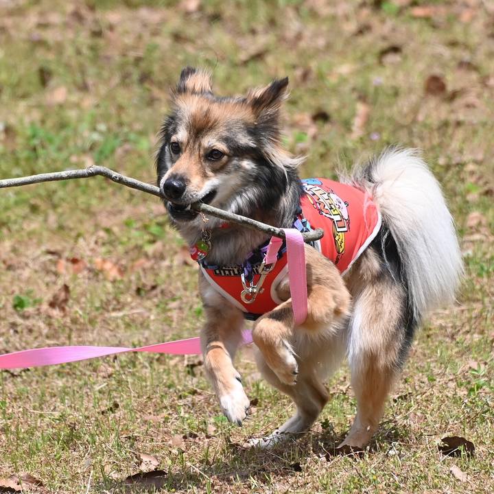 6e4cc2d6 234a 4f92 a82f 0e5bdb710208 1557307326216