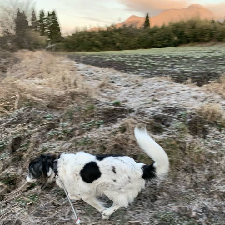 6e4cc3aa ec38 4c23 b108 6546b9a2704a 1583032519858