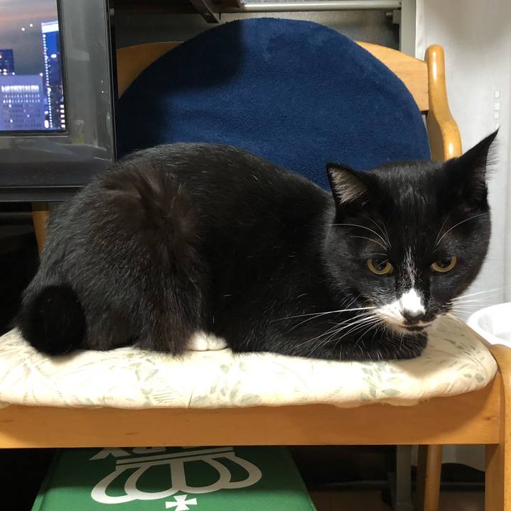 6e4cc4f4 fd75 43cc 927f 206a6c8e55f7 1634269426081