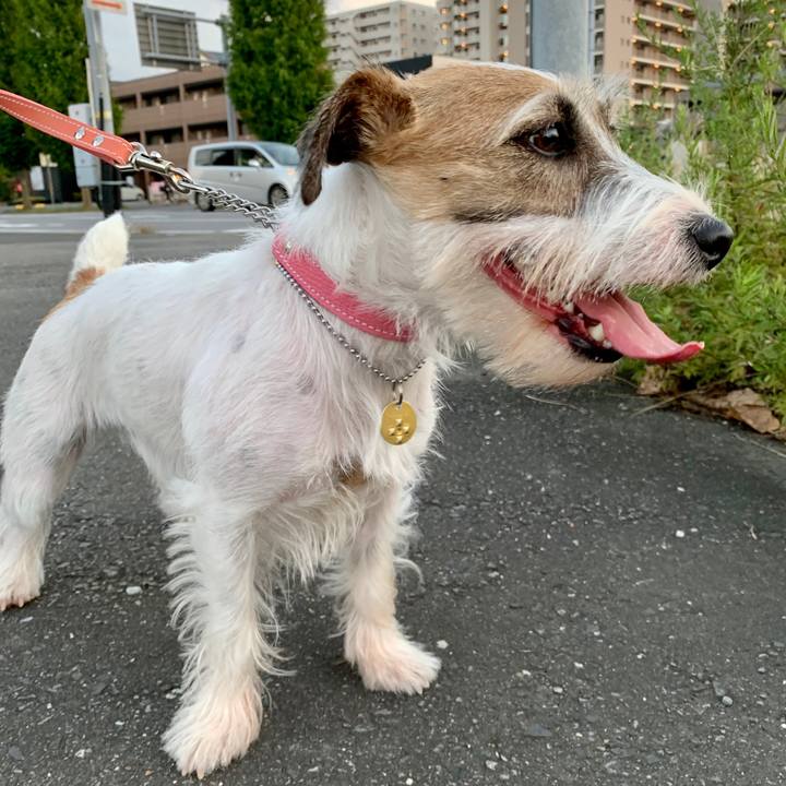 6e4cd450 e934 4a9e af66 d092358d5d59 1603532388678