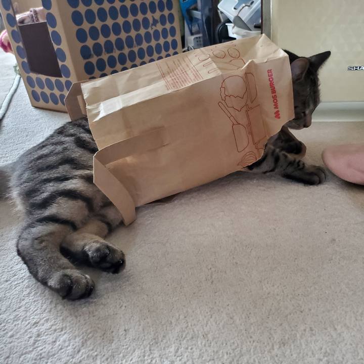 6e4ce233 ee56 489b bcce 78e4d18cdc28 1698590823384