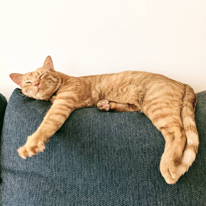 6e4d0b07 73b9 46f9 9c84 835a6cbaa133 1624177229807