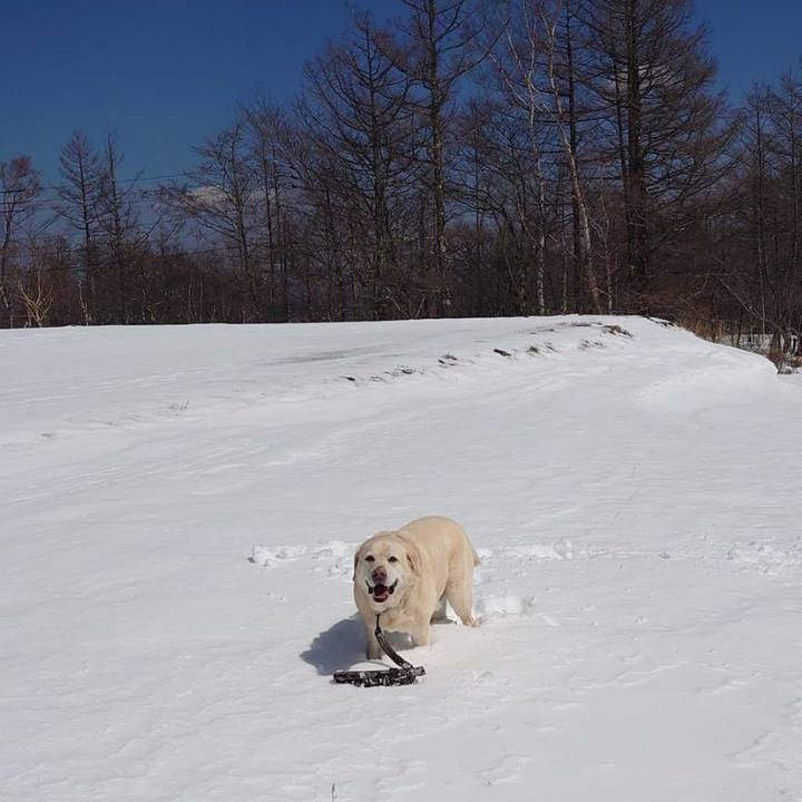 6e4d20f2 b524 4b64 9e7e 65dce775e3b3 1742605378473