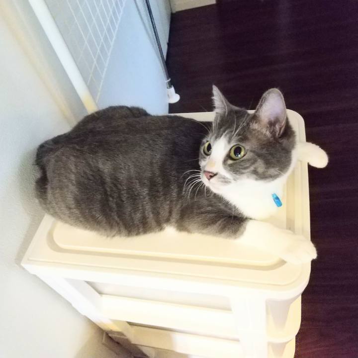 6e4d320b c9ba 47fd 9fce b557dc3079fa 1612223882573