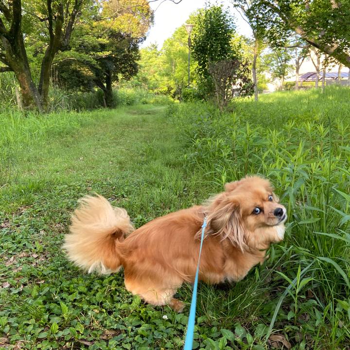 6e4d36d3 375d 43cd 96aa 8258d01ff0aa 1592344846563