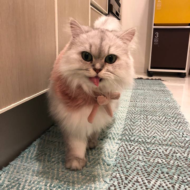 6e4d718c 3e4f 4e46 afdf 528b31910c1a 1539854967790