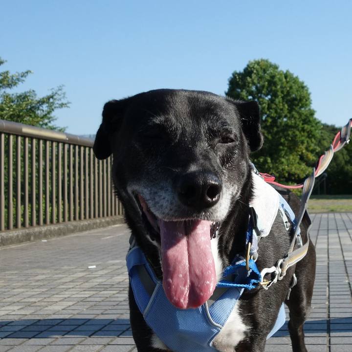 6e4d8af3 b7cf 4bb1 a8fb 48ce25170a93 1753055519771