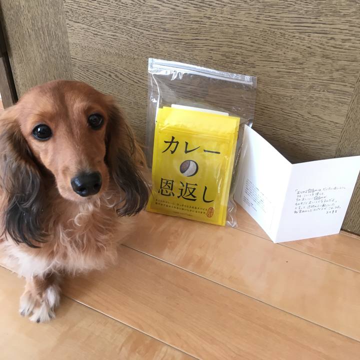 6e4d90b7 09b3 4e0c bf5b 605645c907a8 1511415246037