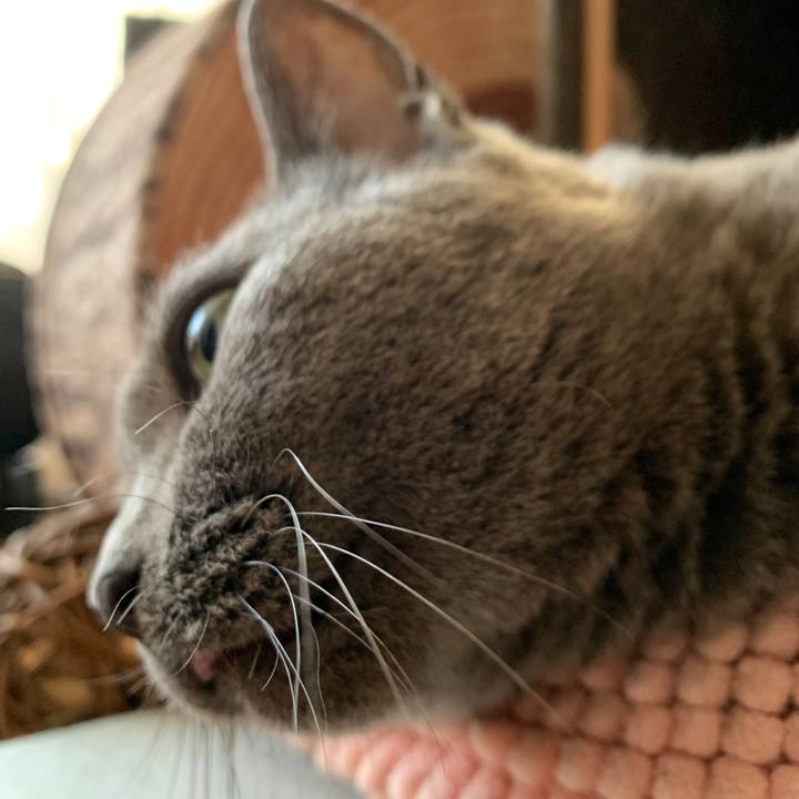 6e4dbcab e5f2 464e 9d26 6b1dcd909b9e 1599518434480