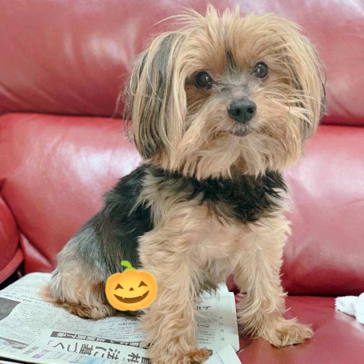 6e4dbfcd f7fc 4a1c 99ae 9b1814de7d6a 1601679628315