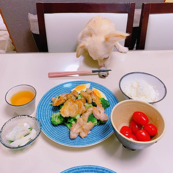 6e4dcc7a cd04 4f73 916d 3b7def6d5a08 1621859893237