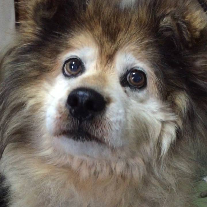 6e4dcec1 4f07 4eb1 aced f6886fec6478 1550617473454